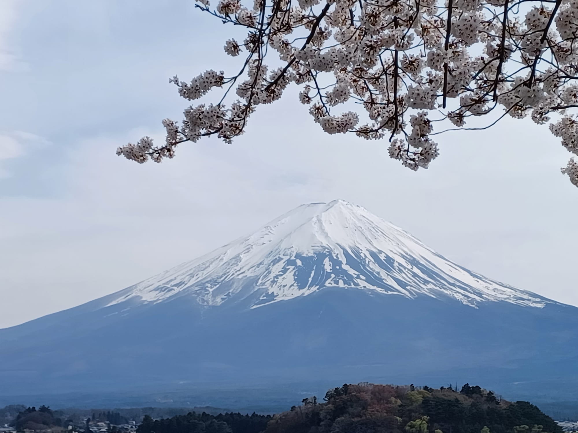 Mt. Fuji
